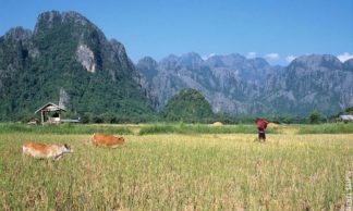 Rizières et montagnes à Vang-Vieng au Laos